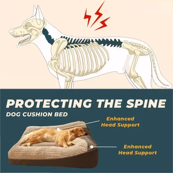Spine Health Support