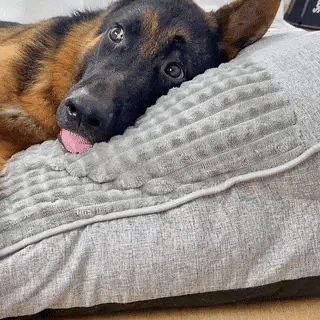 Elevated Headrest