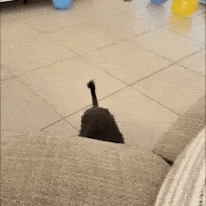 Ergonomic Pet-Friendly Step Design