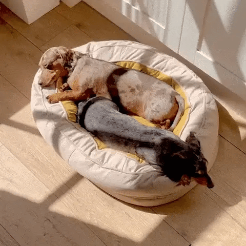 Comfortable