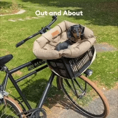 Comfort That Travels With You